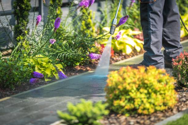 Best Winterizing Services  in Pretty Bayou, FL